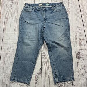 PILCRO BY ANTHROPOLOGIE JEANS  20W PLUS DENIM FRAYED HEM THE VINTAGE STRAIGHT